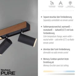 Neuhaus PURE® LED Deckenleuchte PURE Lines Spot, oak/graphite, dimmbar, CCT, drehbar