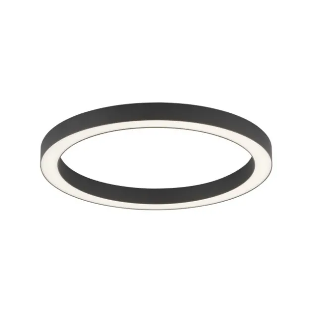 Neuhaus PURE® LED Deckenleuchte PURE Lines Round, graphite, 50cm, dimmbar, CCT