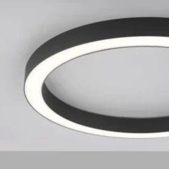 Neuhaus PURE® LED Deckenleuchte PURE Lines Round, graphite, 50cm, dimmbar, CCT