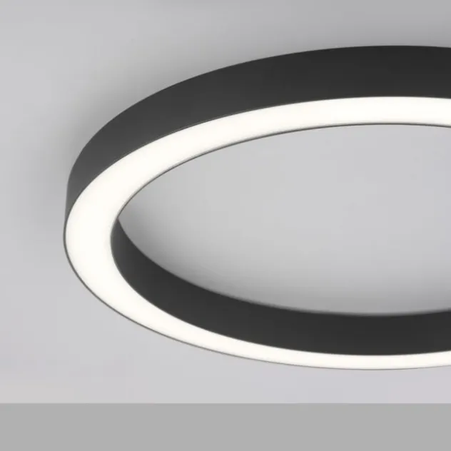 Neuhaus PURE® LED Deckenleuchte PURE Lines Round, graphite, 50cm, dimmbar, CCT