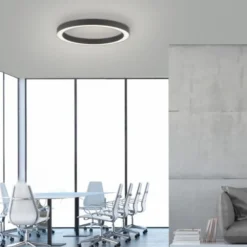 Neuhaus PURE® LED Deckenleuchte PURE Lines Round, graphite, 50cm, dimmbar, CCT