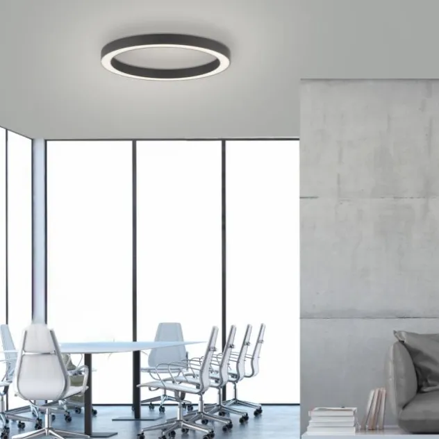 Neuhaus PURE® LED Deckenleuchte PURE Lines Round, graphite, 50cm, dimmbar, CCT