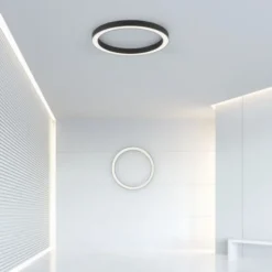 Neuhaus PURE® LED Deckenleuchte PURE Lines Round, graphite, 50cm, dimmbar, CCT