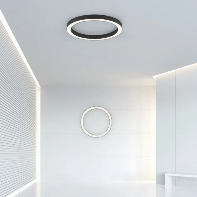 Neuhaus PURE® LED Deckenleuchte PURE Lines Round, graphite, 50cm, dimmbar, CCT