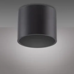 Neuhaus PURE® LED Deckenleuchte PURE Point, black pearl, Indoor, dimmbar