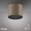 Neuhaus PURE® LED Deckenleuchte PURE Point, bronce, Indoor, dimmbar