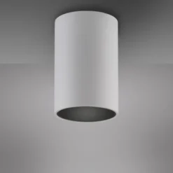 Neuhaus PURE® LED Deckenleuchte PURE Point, snow (weiß), Indoor, dimmbar