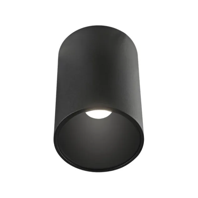 Neuhaus PURE® LED Deckenleuchte PURE Point, black pearl, Indoor, dimmbar
