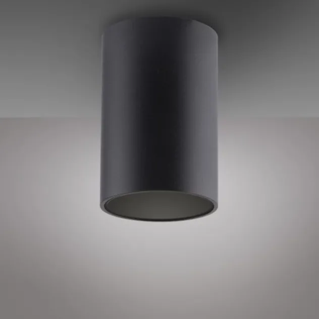 Neuhaus PURE® LED Deckenleuchte PURE Point, black pearl, Indoor, dimmbar