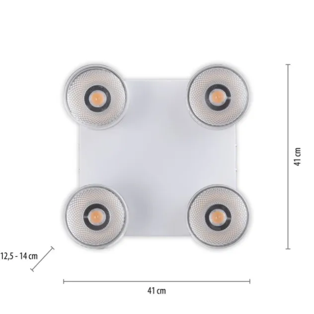 Neuhaus PURE® LED Deckenleuchte PURE Nola weiß 4 flammig drehbar dimmbar