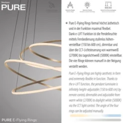 Neuhaus PURE® LED Pendelleuchte PURE Flying Rings,bronce