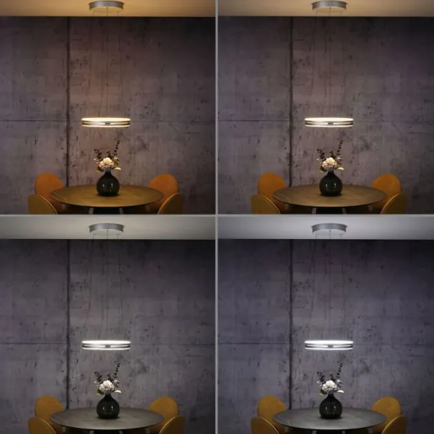 Neuhaus PURE® LED Pendelleuchte PURE E-Loop stone (alu)