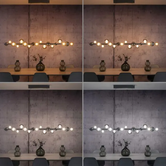 Neuhaus PURE® LED Pendelleuchte PURE E-Popup,platin (grau)