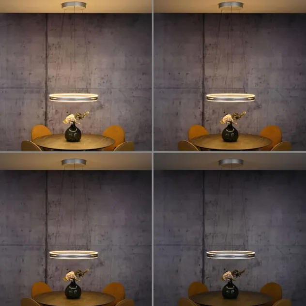 Neuhaus PURE® LED Pendelleuchte PURE E-Loop stone (alu)