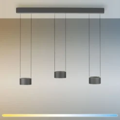 Neuhaus PURE® LED Pendelleuchte PURE Clipse, mystic-grey (grau), Fernbedienung, Comfort Lift