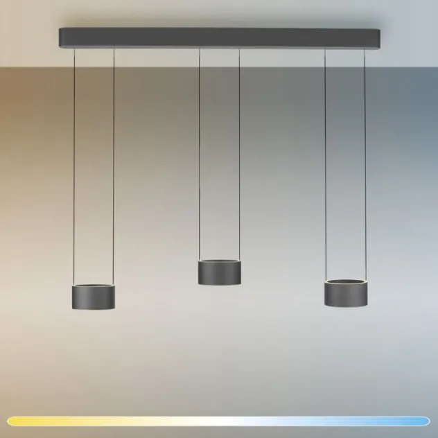 Neuhaus PURE® LED Pendelleuchte PURE Clipse, mystic-grey (grau), Fernbedienung, Comfort Lift