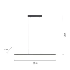Neuhaus PURE® LED Pendelleuchte PURE Lite, graphite CCT dimmba