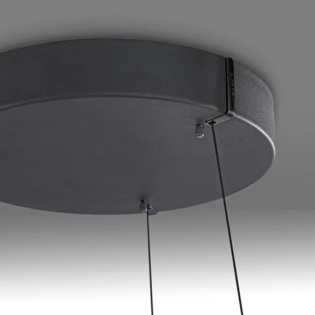Neuhaus PURE® LED Pendelleuchte PURE E-Loop oak/ black pearl