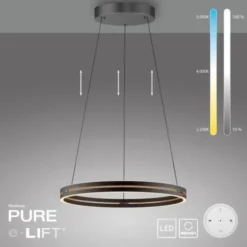 Neuhaus PURE® LED Pendelleuchte PURE E-Loop oak/ black pearl