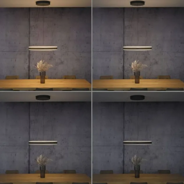 Neuhaus PURE® LED Pendelleuchte PURE E-Loop oak/ black pearl