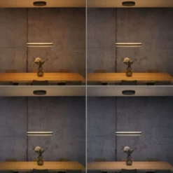 Neuhaus PURE® LED Pendelleuchte PURE E-Loop oak/ black pearl