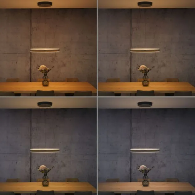 Neuhaus PURE® LED Pendelleuchte PURE E-Loop oak/ black pearl