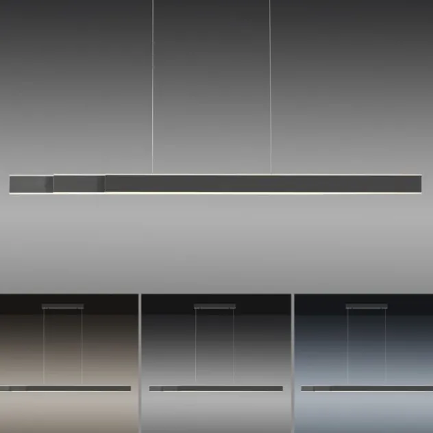 Neuhaus PURE® LED Pendelleuchte PURE Lume, graphite