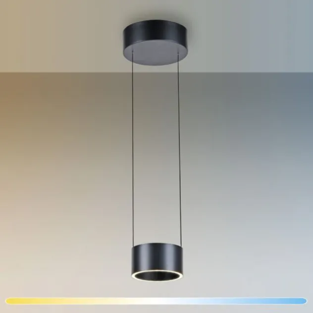 Neuhaus PURE® LED Pendelleuchte PURE Clipse, platin (grau), Fernbedienung, Comfort Lift