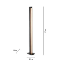 Neuhaus PURE® LED Stehleuchte PURE-LINES Floor oak/ graphite