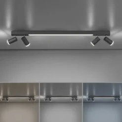 Neuhaus PURE® LED Strahler PURE Lines Spot, graphite, dimmbar, drehbar, CCT