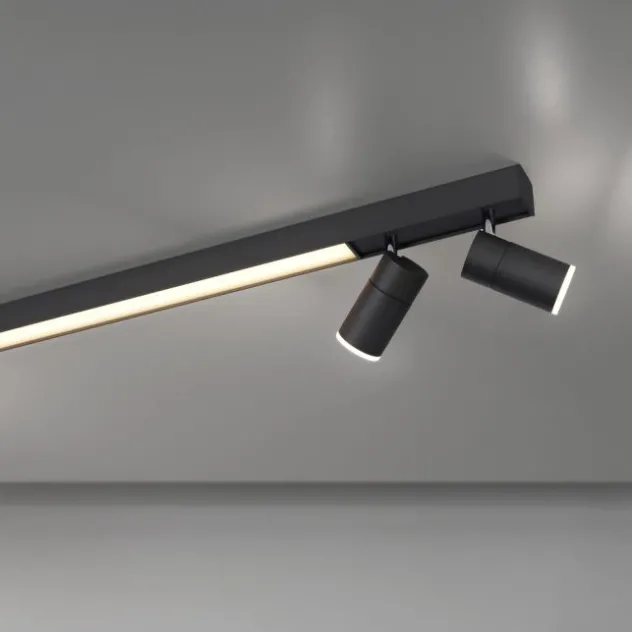 Neuhaus PURE® LED Strahler PURE Lines Spot, graphite, dimmbar, drehbar, CCT