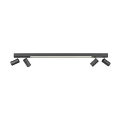 Neuhaus PURE® LED Strahler PURE Lines Spot, graphite, dimmbar, drehbar, CCT