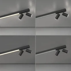 Neuhaus PURE® LED Strahler PURE Lines Spot, graphite, dimmbar, drehbar, CCT