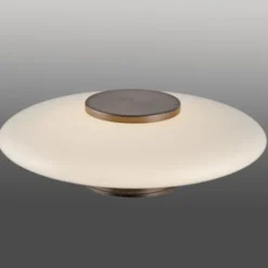 Neuhaus PURE® LED Wand- und Deckenleuchte PURE Vitrum dark-metal brown