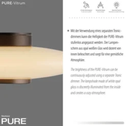 Neuhaus PURE® LED Wand- und Deckenleuchte PURE Vitrum dark-metal brown