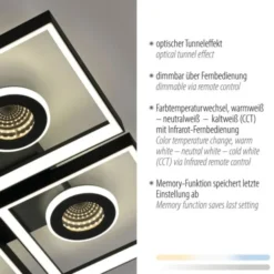 Paul Neuhaus Deckenleuchte schwarz dimmbar Fernbedieung Lichteffekte