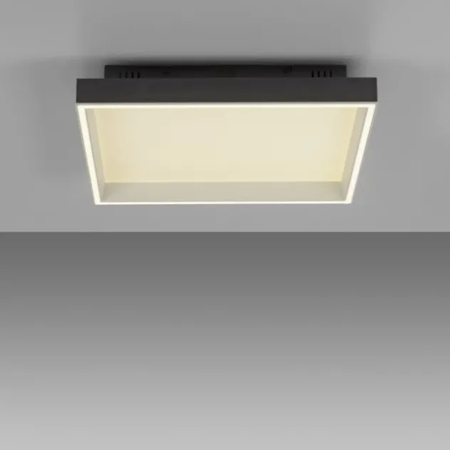 Paul Neuhaus LED Deckenleuchte Q-MAGONG schwarz Smarthome App dimmbar