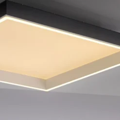 Paul Neuhaus LED Deckenleuchte Q-MAGONG schwarz Smarthome App dimmbar