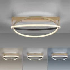 Paul Neuhaus LED Deckenleuchte Q-BELUGA messing matt dimmbar Smart Home
