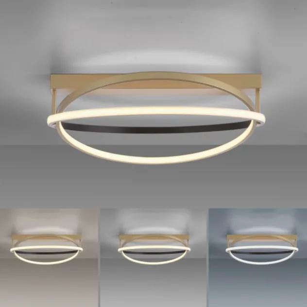 Paul Neuhaus LED Deckenleuchte Q-BELUGA messing matt dimmbar Smart Home