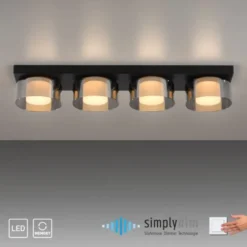 Paul Neuhaus LED Deckenleuchte 4 flammig dimmbar per Switchmo