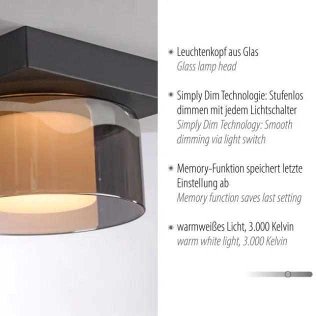 Paul Neuhaus LED Deckenleuchte 1 flammig dimmbar per Switchmo