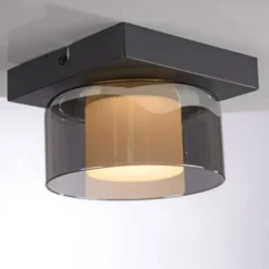 Paul Neuhaus LED Deckenleuchte 1 flammig dimmbar per Switchmo