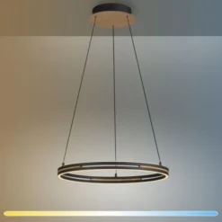 Paul Neuhaus LED Pendelleuchte, Ringleuchte SVEJA, Holz-natur
