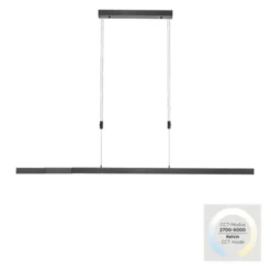 Paul Neuhaus LED Pendelleuchte BACALIA, anthrazit,