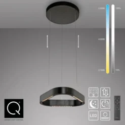 Paul Neuhaus LED Pendelleuchte Q-STRETTO, schwarz,