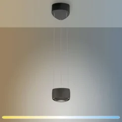 Paul Neuhaus LED Pendelleuchte Q-STRETTO, schwarz, dimmbar, Fernbedienung