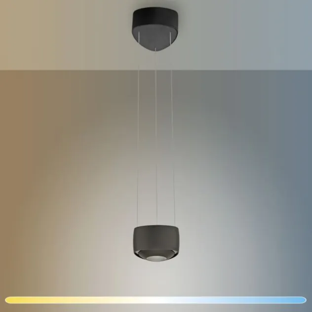 Paul Neuhaus LED Pendelleuchte Q-STRETTO, schwarz, dimmbar, Fernbedienung