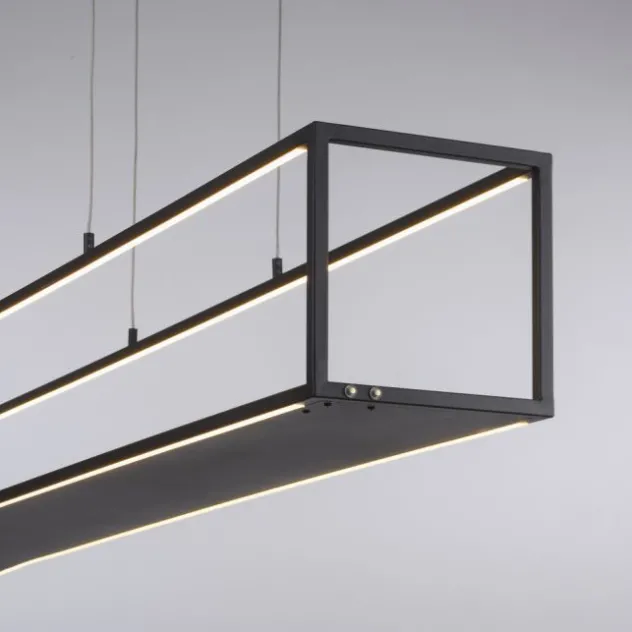 Paul Neuhaus LED Pendelleuchte CONNI schwarz, Deko Fläche