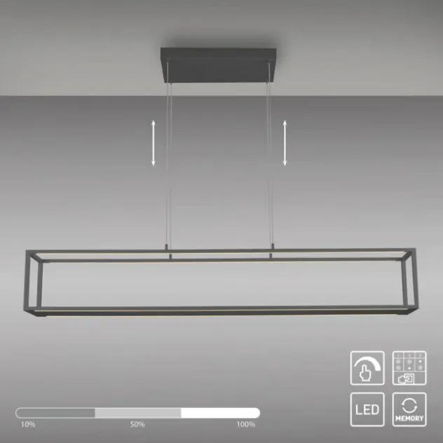 Paul Neuhaus LED Pendelleuchte CONNI schwarz, Deko Fläche